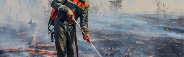 Ukrainat pommitav Venemaa võitleb enda aladel metsapõlengutega, sel nädalal on hukkunud kümme inimest