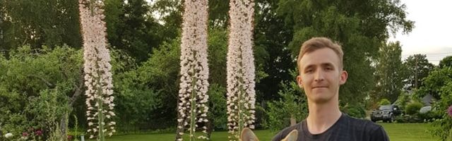 Pildid: Eesti aias kasvab lill, mis 190 cm pikale noormehele kasvus tublisti ära teeb