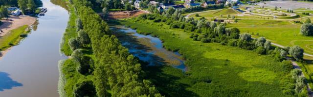 Hilissuvel alustatakse Tartus Supilinna tiigi puhastamist