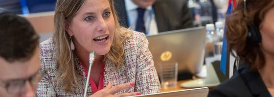 Oudekki Loone: kampaaniaks võivad annetada ainult Eesti kodanikud ja alalised elanikud