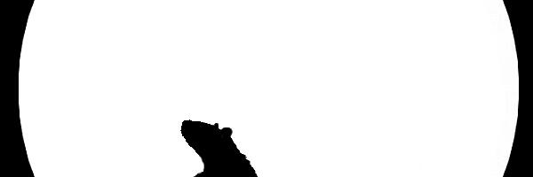 🐀 ROTT TULIHOBUSE AASTAS 2026 – KOHANEMISE, JULGUSE JA SISMISE KÜPSEMISE AEG