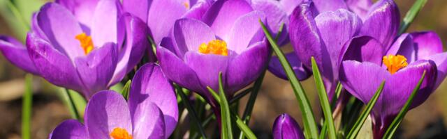 Märtsi horoskoop: need tähemärgid kogevad suurt muutust juba kuu esimestel päevadel