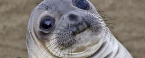 Найм в стартапе: как перестать сливать бюджет и починить систему за 14 дней, делюсь методологией