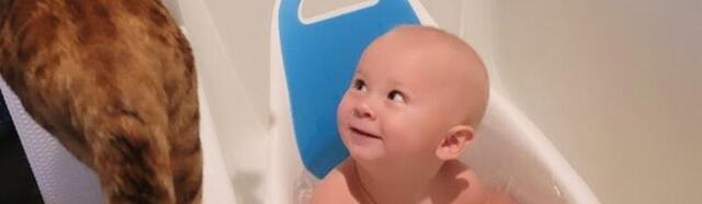 Alec Baldwini kadunud kass leiti murdunud käpaga