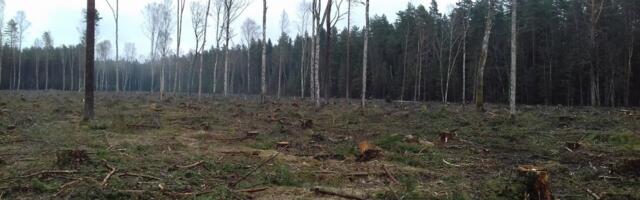 PRESSITEADE 29.03.2022 Eestimaa Rohelised ja Eesti Metsa Abiks juhivad tähelepanu metsade riigikaitselisele olulisusele