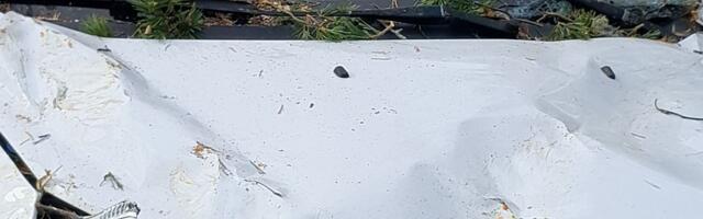 Lõuna päästekeskuse päästjatel oli tormi tõttu töine nädalavahetus