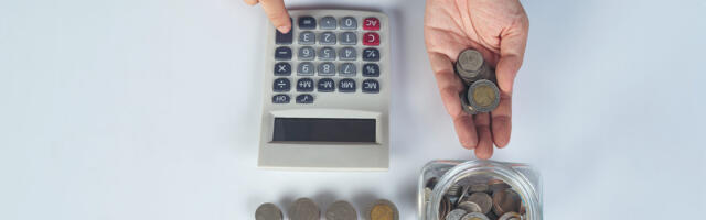 Vallavanem peab selgitama kas tal on mingi kulude kärpimise plaan