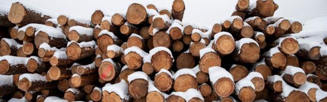 Trump plaanib uusi tollitariife, sihikul on puit