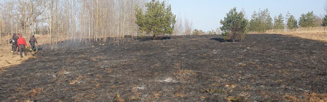 Võru vallas süttis kulupõlengust metsaalune