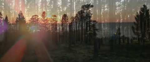 The Cynic Project - [Estonian Nature Video Mix]