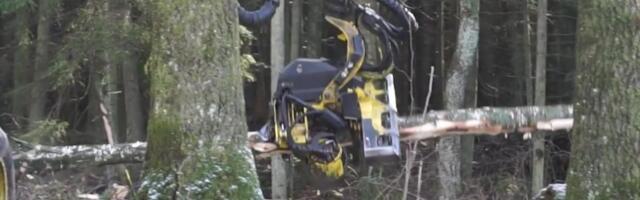 Reporter: Metsast 160 000 euro eest metsa varastanud pätid saadi kätte