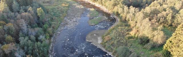 Keskkonnaameti vastulause: Wooluvabrik OÜ külvab eksitavate sõnumitega Linnamäe paisu ümber segadust