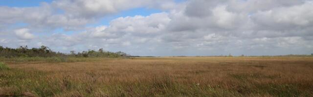 Venemaa astus välja üleilmsest märgalade kaitse konventsioonist