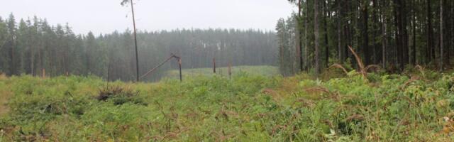 11 katusorganisatsiooni: Eestile võetud kliimaeesmärgid maksavad tuhandeid töökohti