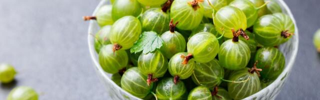 KAS PEOTÄIS TIKREID päevas aitab kaalust alla võtta?