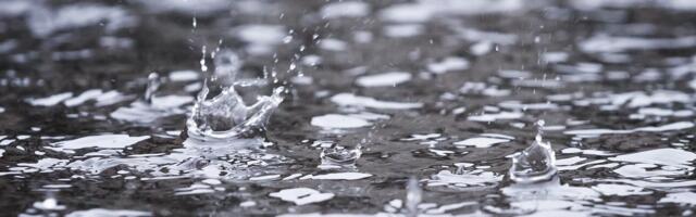 ILMATEADE | Uus nädal kostitab rohke vihmaga