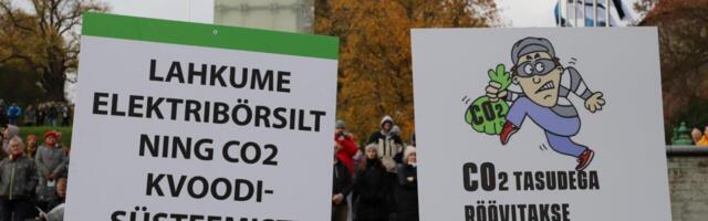 Kolumnist: kas rohemullitajad on oportunistid või lihtsalt rumalad inimesed?