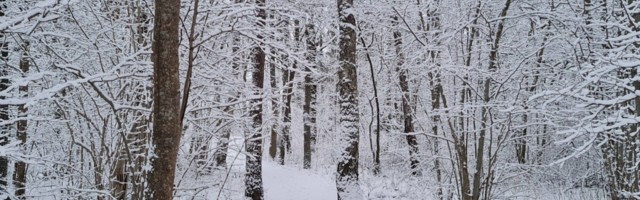 RMK plaan aastaks 2021: 6,9 miljonit loodusradadesse, lõkkekohtadesse ja vaatetornidesse