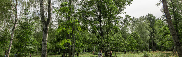 Uuring: toetus rohepöörde läbiviimisele on kahanenud