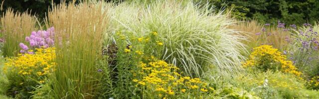 KAASAV EELARVE. Lasnamäe saab minibotaanikaaia ja Haabersti Kakumäele võrgupargi