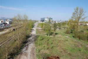 Rohelise linna kuvand ja tegelik sisu