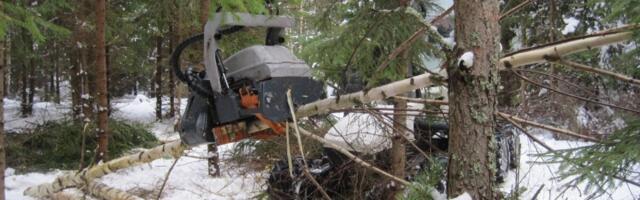 Euroopa Parlament: raiejäätmed ja oksad ei ole taastuvenergia