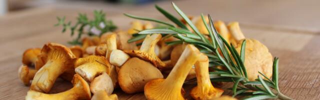 Maitsete nädal Valgamaal stardib neljapäeval