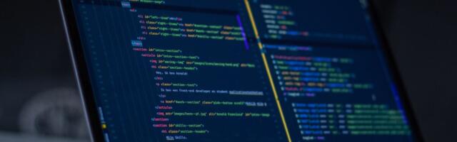 Ekspress arendab mitut tarkvara ja mõtleb spin-off'i peale. "Me vajaks siia ühte head partnerit"