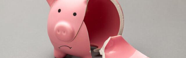 Hindrek Riikoja: aga kes kaitseb meid riigi eest?