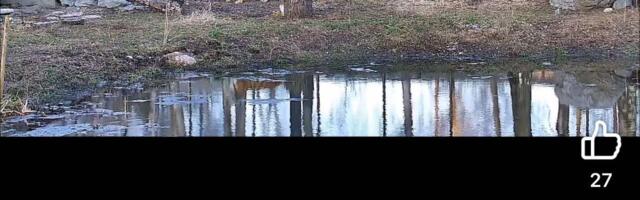 VIDEO | Loodus või julmus? Tallinna loomaaia uus söötmisvõte tekitas tormi