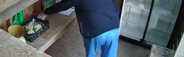 FOTOD | „Ilmselt kohalik.“ Rohelise maskiga pikanäpumees käis talu iseteeninduspoes vargil