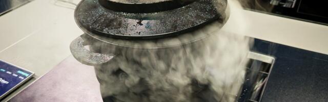 Ei mingeid trikke: Siemens tegi tavalised kodumasinad paremaks