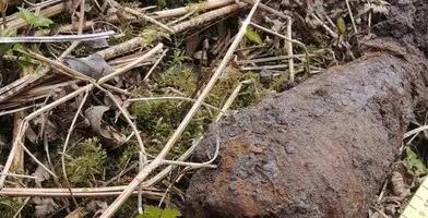 Koerad kaevasid Järvamaal maa seest välja miinipildujamiini