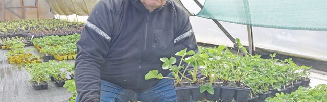 Puukooli omanik istikutest: kõik lapsed on armsad, ei saa ühte teistele eelistada