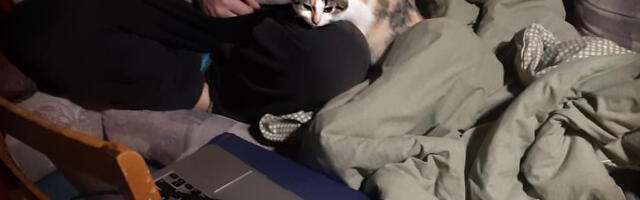 Teatriarvustus. Kaja Kann: koroona mängis kaardid kätte. “Hundid”