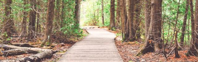 Raplamaal saab peagi läbida kaheksa matkarada koos virtuaalse giidiga