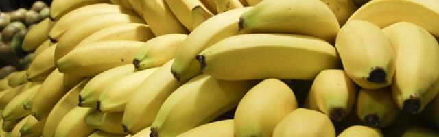 Rein Sikk: kui banaani kõverus on tähtsam kui hariduse kvaliteet, siis on miskit mäda