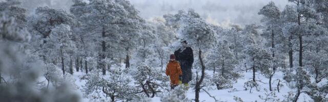 Sood teevad eestlase kirglikuks ja isegi sõjakaks