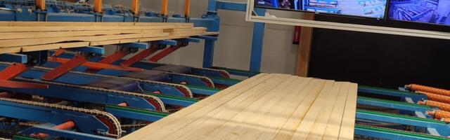 Eesti metsasektori tulevik oleneb puidu suuremast väärindamisest