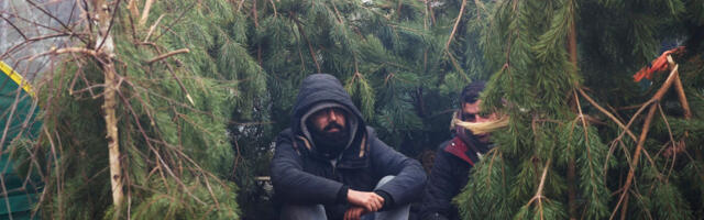 KOLUMN ⟩ Jüri Kotšinev: Röövel-Ööbik