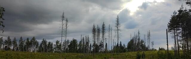 POLIITKOLUMNIST | Züleyxa Izmailova: arusaadav, miks sellise kliimapoliitika juures lapsi ei taheta