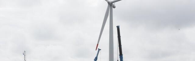 Silver Sillak: Hispaania elektrikatkestus andis ettekäände levitada hirmu ja valeinfot