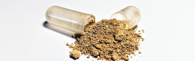 Looduslik ei tähenda alati ohutut: ashwagandha ületarbimise varjuküljed