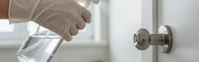 Miks pritsitakse õhtuti uksekäepidemetele äädikat? Lihtne nipp, mis taastab sära ja puhtuse