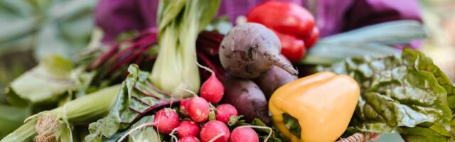 Statistikaamet: Tarbijahinnaindeks tõusis jaanuaris aastaga 3,7%