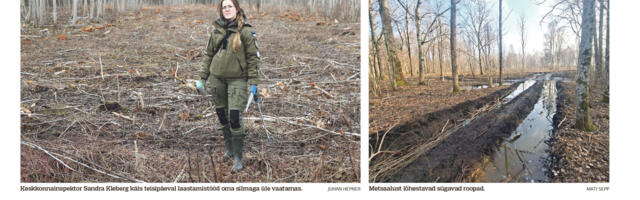 Lääne Elu paberleht laupäeval, 21. märtsil