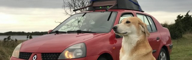 Kui autosse ei mahu, paneme katusele?