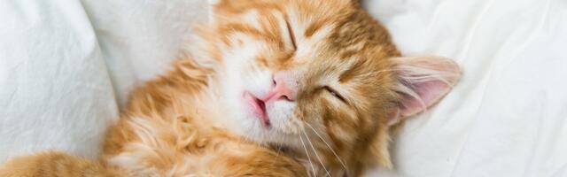 3. märts: Veevalaja alustab uut suhet, Sõnni valdab tegutsemisind