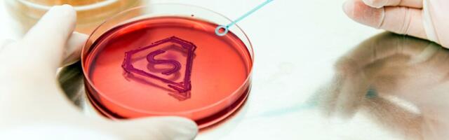 Uuring: iga viies Euroopas haiglasse sattunu võib Soome tuua superbakteri