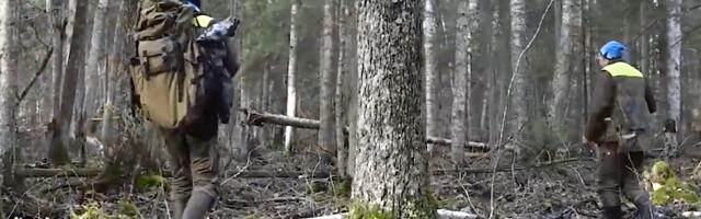 Video: Miks hinnatakse Eesti metsa juurdekasvu ja seisundit avalikkusele salastatud proovitükkidel?
